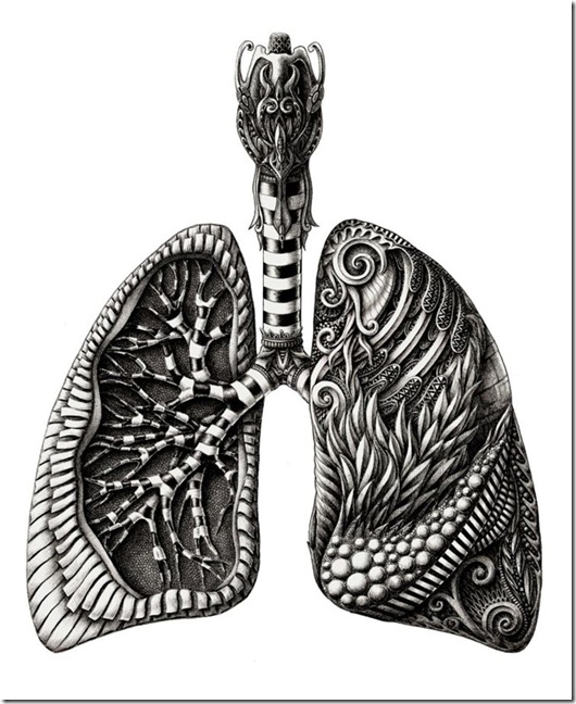 pulmones