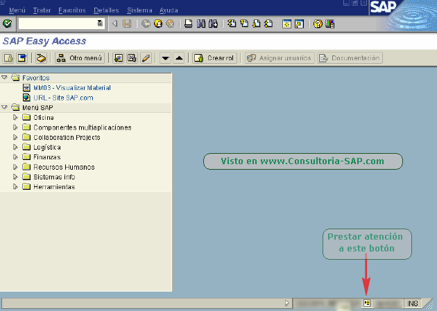 Ventana SAP - CSAP