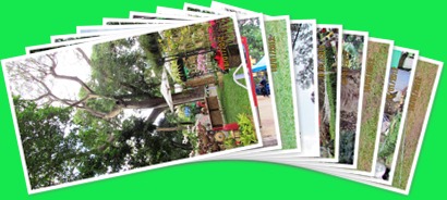 View album