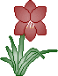 Gif de flor