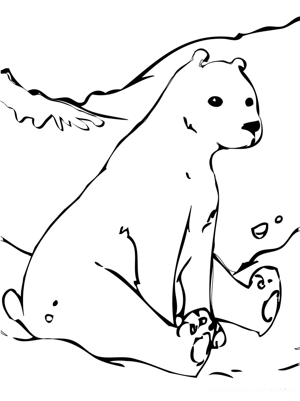 Bear Coloring Pages Realistic | Realistic Coloring Pages