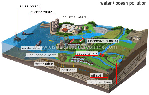 Polusi di laut