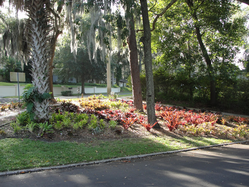 Landscape Borders Miami