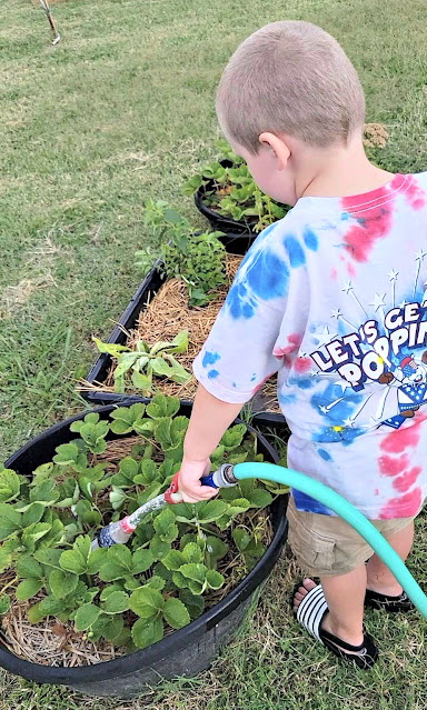 Boy watering garden with a hose