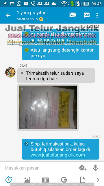 Part 5 Testimoni Jualtelurjangkrik.com Silahkan Beli Telur Jangkrik Disini