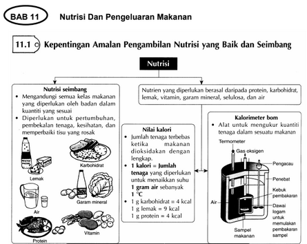 Soalan Biologi Tingkatan 4 Mengikut Bab - Terengganu v