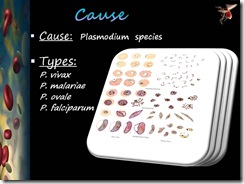 Slide9