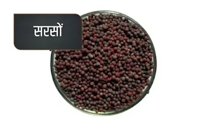 mustard seeds spices name in hindi with images