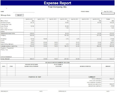 Accounts Expense Report