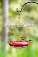 Hummingbird Feeder with Dome