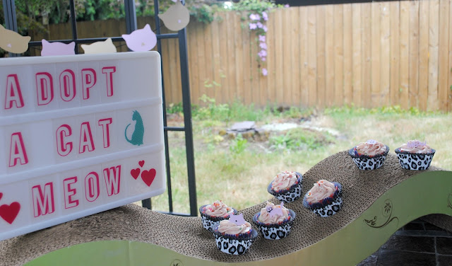 Adopt a cat mini party with cupcakes by Fizzy Party 