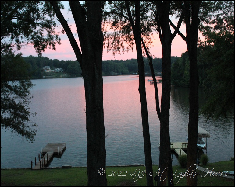 summer cottage 36 summer cottage 36