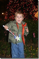 2010-11-20 (176)