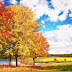 Sunshine autumn landscape desktop wallpaper