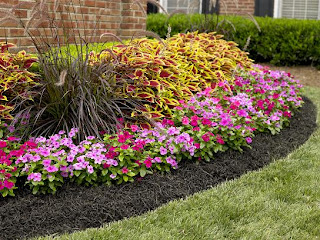 landscaping ideas