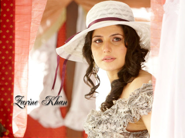 zarine khan hot photos & zarine khan hot pictures