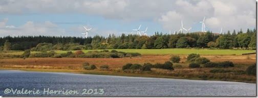 11-wind-farm
