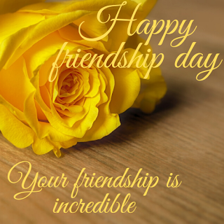 FRIENDSHIP DAY