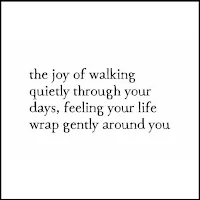 the joy of walking quietly through your life - Flying Edna quote
