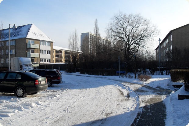 solskin i det kedelige forstadskvarter