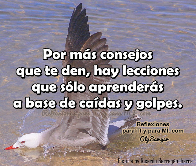 Por más consejos que te den, hay lecciones que sólo aprenderás a base de caídas y golpes.