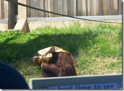 pics 037