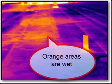 wet orange