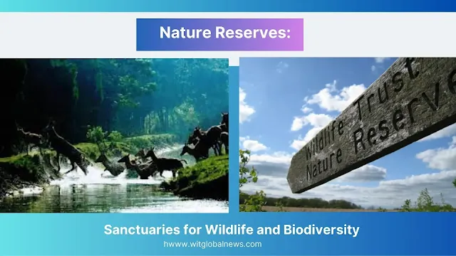 nature preserves, nature reserves, wildlife conservation, wildlife preservation, the wild life animals, wildlife reserves, wildlife protection, protected areas, nature protection