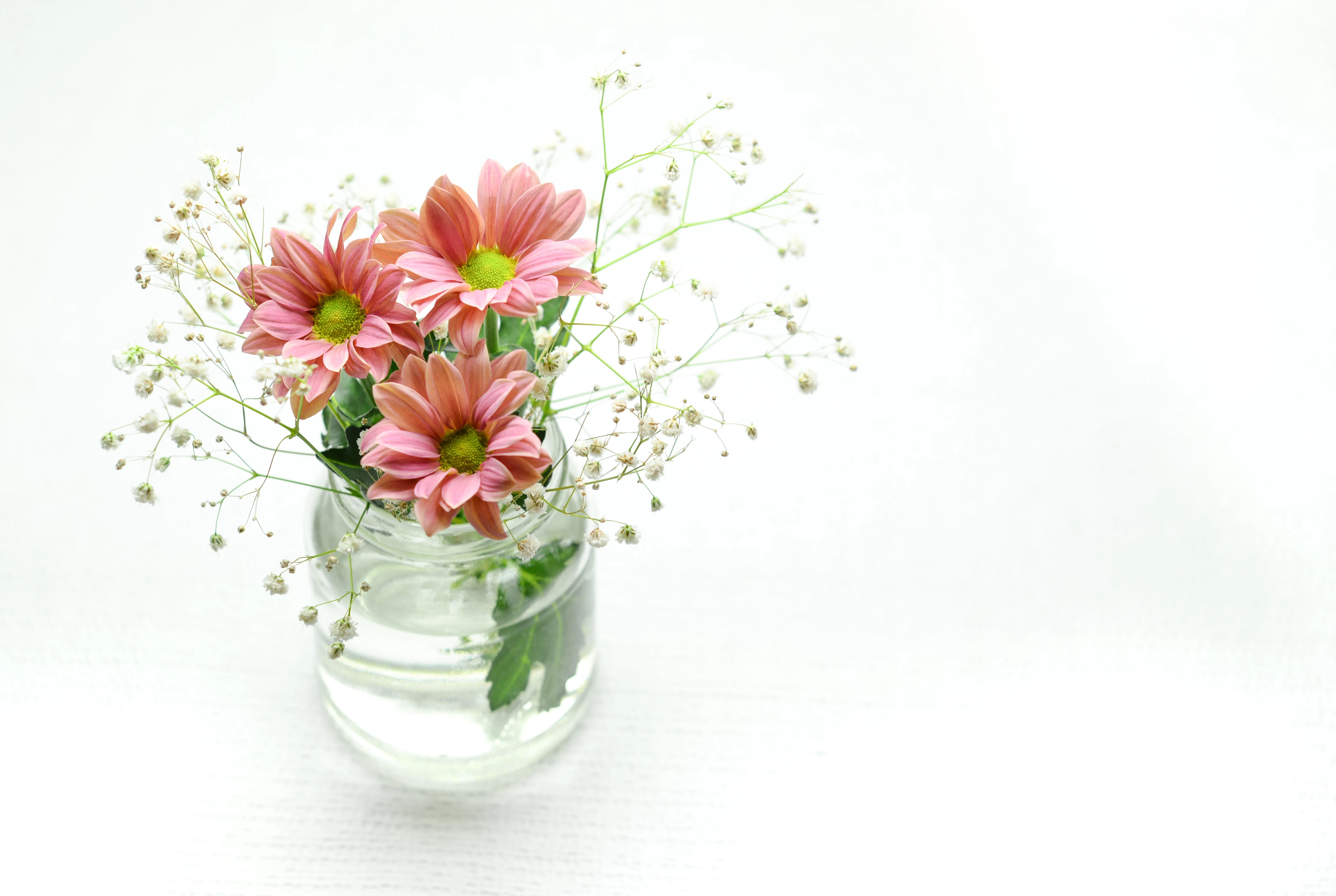 Flowers in vase