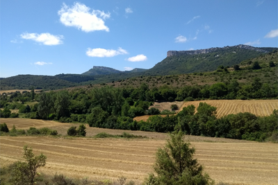 Último tramo entre campos de labor