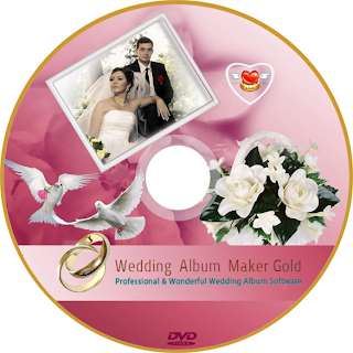 Professional Wedding Albums