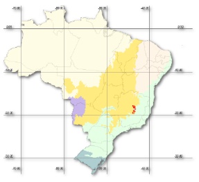 plantas indicadoras de diamantes no brasil