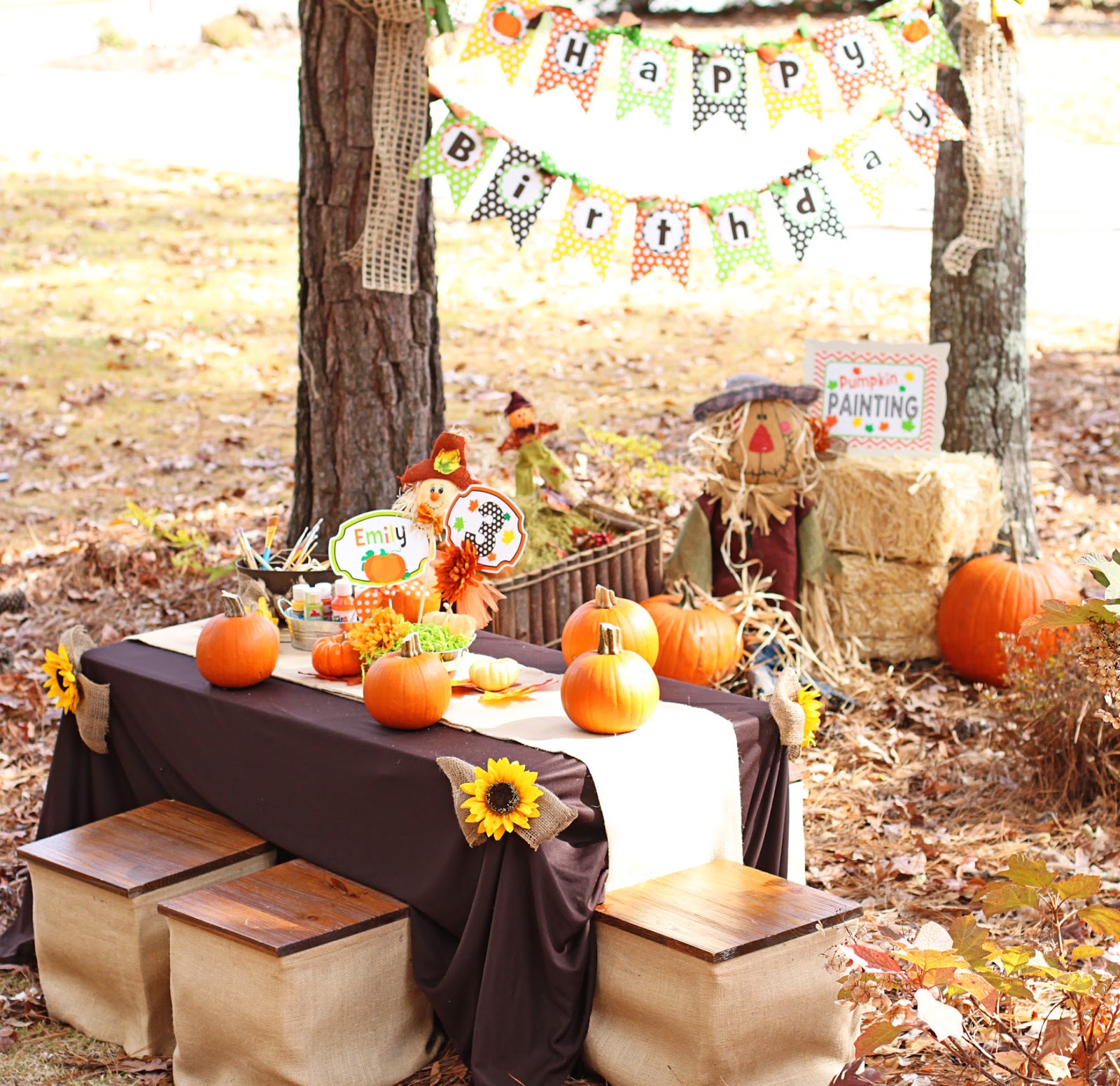 Amanda s Parties  To Go Little Pumpkin Party  Set