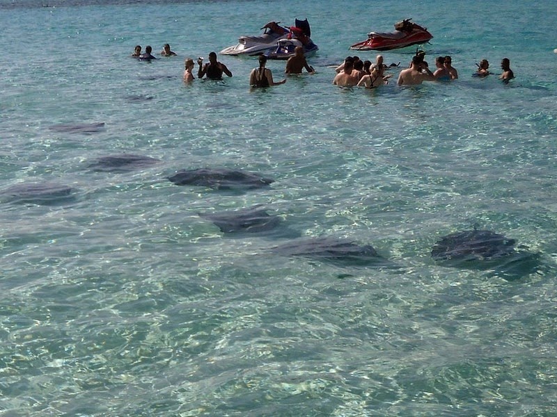 stingray-city-2