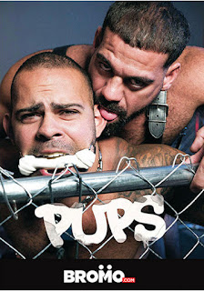 http://www.adonisent.com/store/store.php/products/pups-
