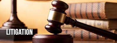 What Does "Litigation" Mean?