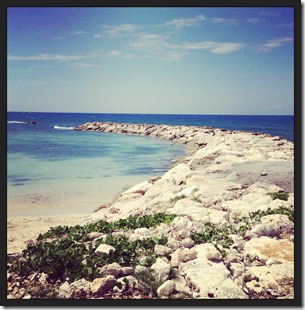 jamaica3