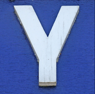 the letter Y