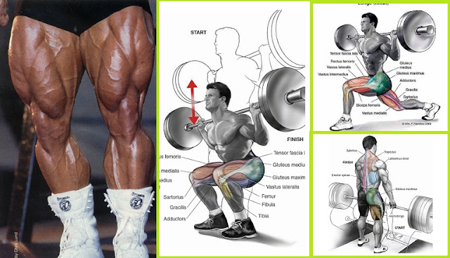 Barbell Exercises For Building Leg 