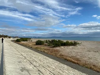 防潮堤と野蒜海岸