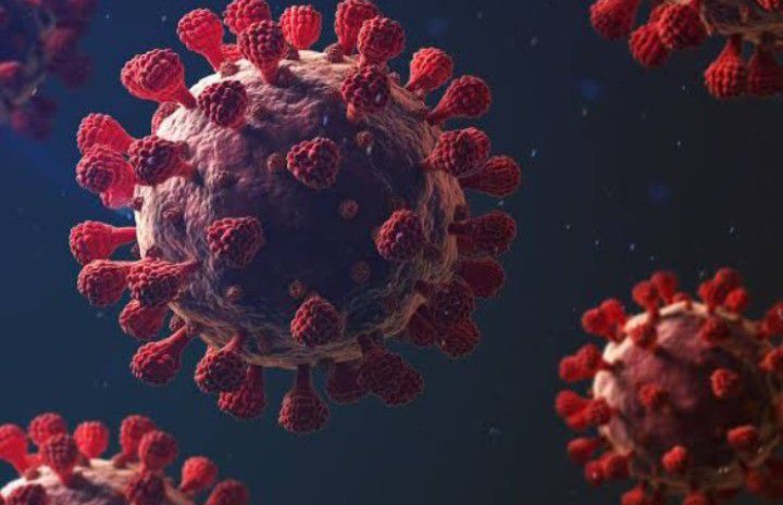 COVID-19: Virus found in human feces up to 7 months after infection