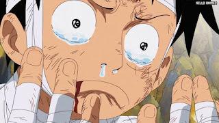 ワンピースアニメ 505話 ルフィ Monkey D. Luffy | ONE PIECE Episode 505