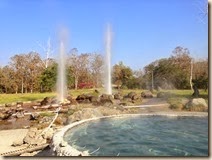 IMG_1919