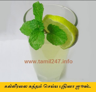 kalleeral palam pera, kalleeral suttham adaiya pudhina juice thayarikkum murai 