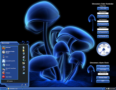 Windows XP Themes Collection 2013 Free Download