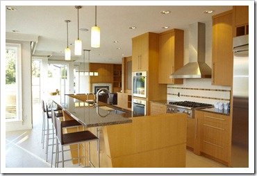 ZEBRA INTERIORS-Brar Residence-Kitchen