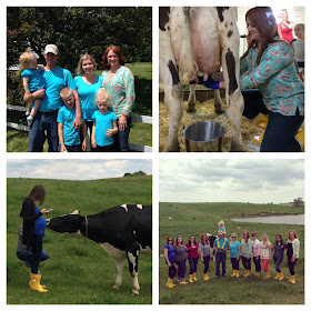 snapshots from farm tour