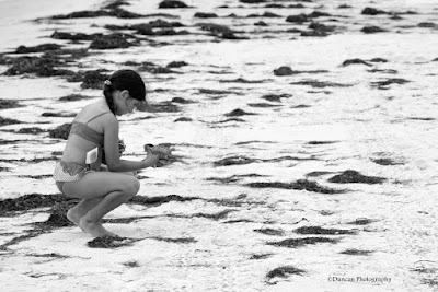 St George Island, Florida, Shells, Beach, Waves, Ocean, Summer, Fun, Vacation, Travel