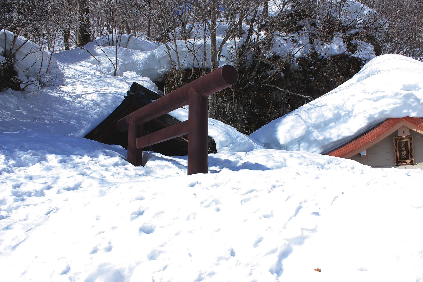 冬の戸隠神社は雪に埋まってる 長野のパワースポット神社に行ってみた T ミライノシテン