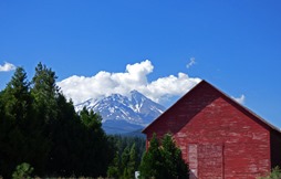 McCloud River Lumber Company Mill Building with Mt. Shasta